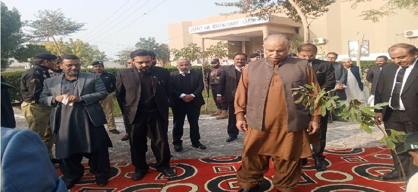 Chief Justice plants a sapling at the court complex