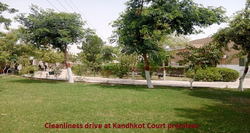 Cleanliness drive (6)
