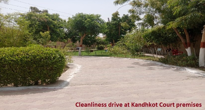 Cleanliness drive (7)