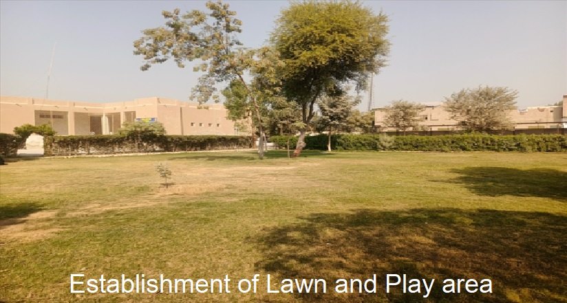 Lawn of the court complex