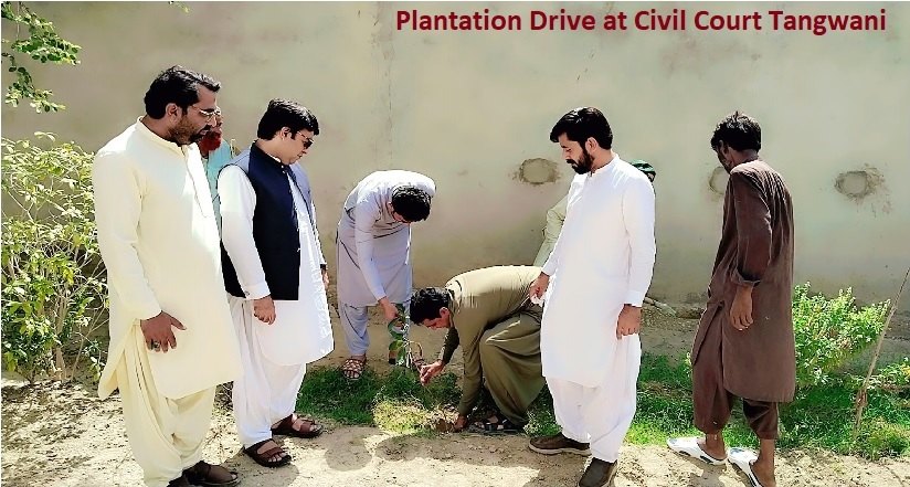 Plantation drive at the Civil Court, Tangwani